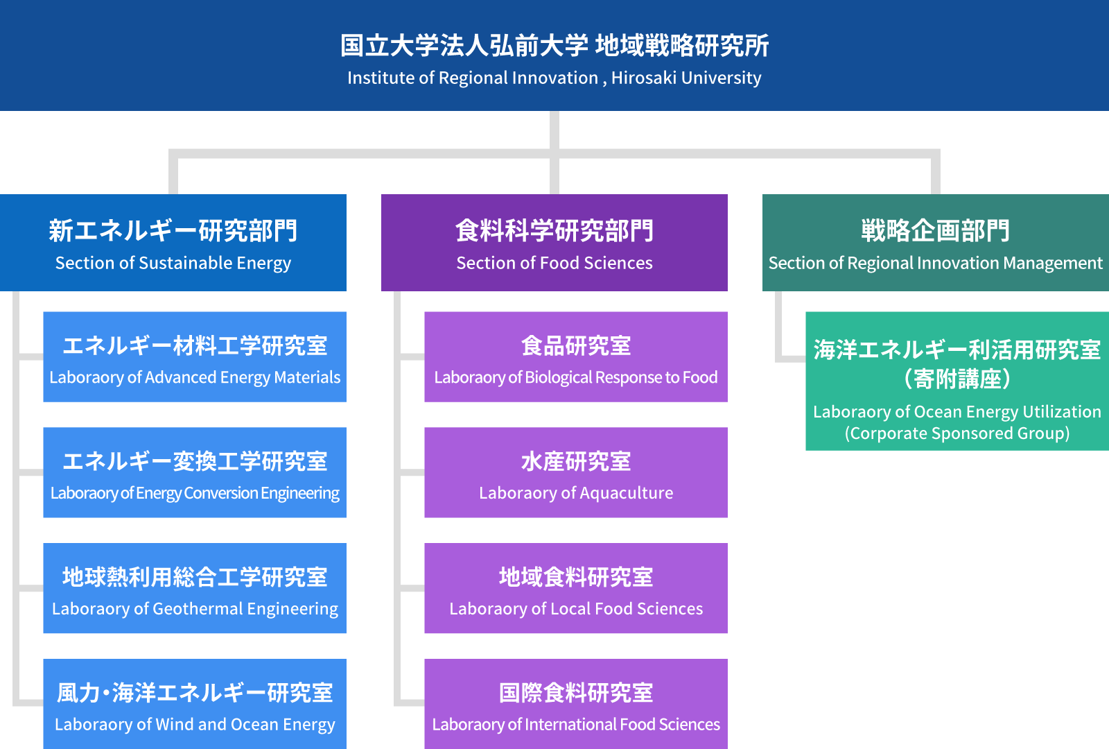 弘前大学地域戦略研究所 組織図