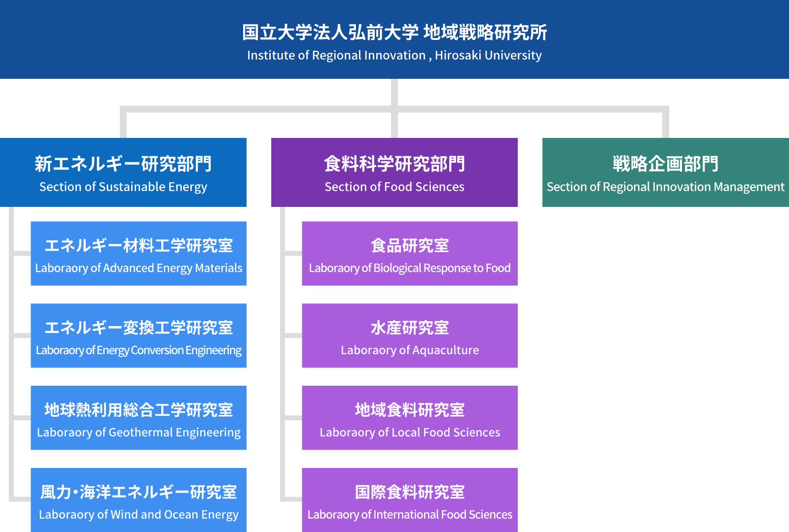 弘前大学地域戦略研究所 組織図